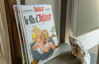 Chastenay - Bail Partner - Foto 27