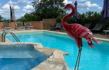 Apartments La Vieille Source - Foto 1