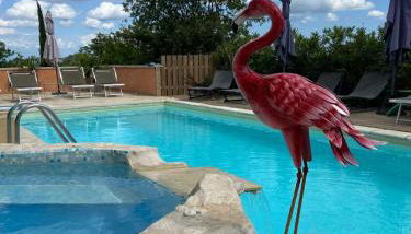 Apartments La Vieille Source - Foto 1