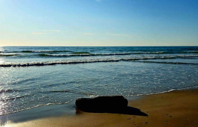 6 Person Holiday Home on a Holiday Park in Hejls - Foto 27