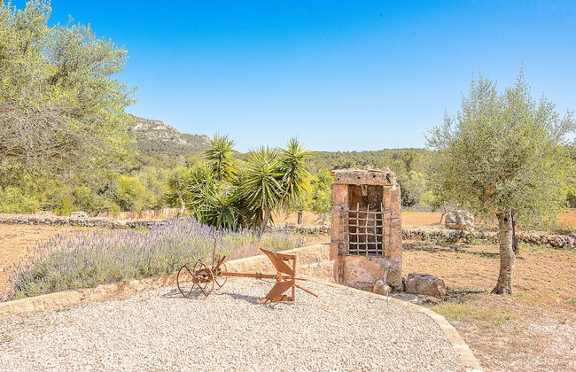 Villa Son Fornes - Foto 45