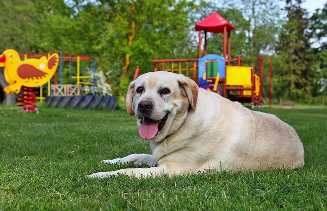 Ferienhauser am Kummerower See, Verchen - Foto 10
