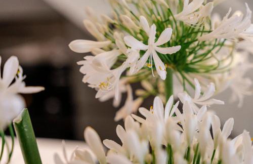 Apartamentos La Gargantiella - Photo 56