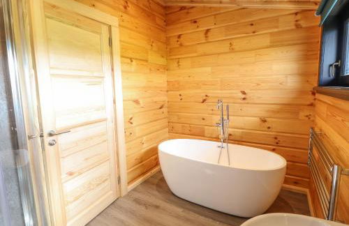 Bacheiddon Log Cabin - Photo 20