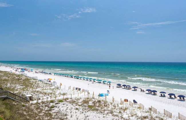 Sunny Days - Foto 53