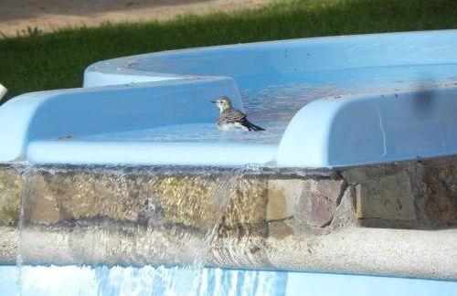 Turismo Rural Santa Lucia - Photo 60