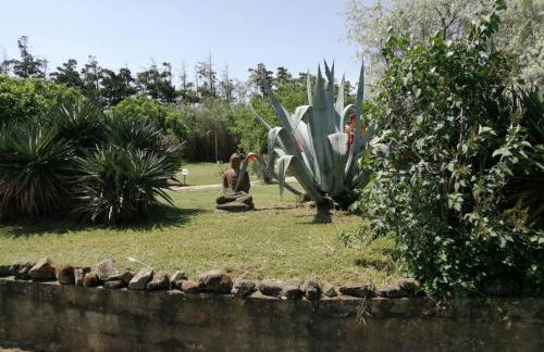 MAS MAURANE-Le Platane avec SPA privé aux portes d'ARLES - Foto 63