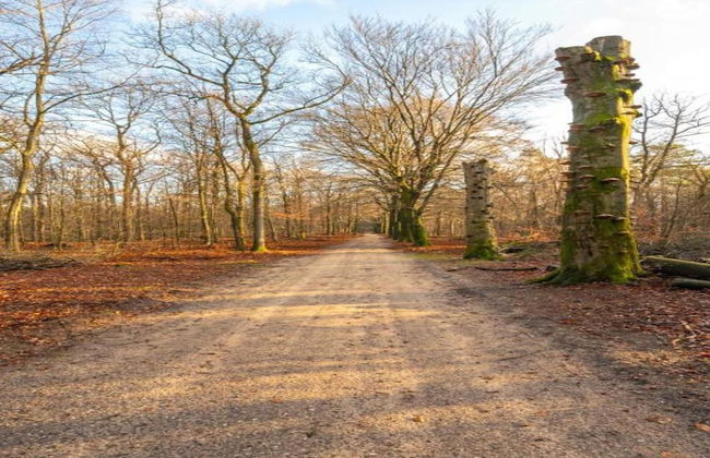 Forest-edge Villa With Sauna - Foto 33