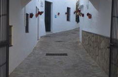 El Pitijopo - Foto 27