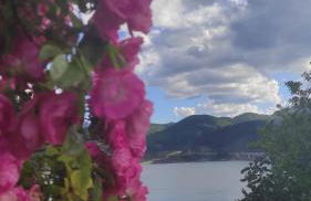 Abuela Carmen - Foto 28