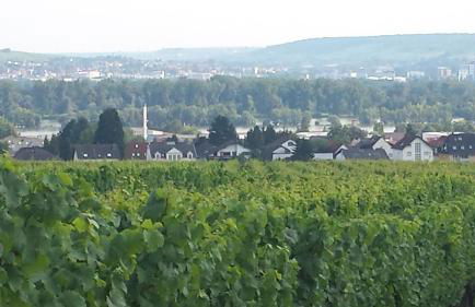 Ferienwohnung Weingut Leis - Foto 1