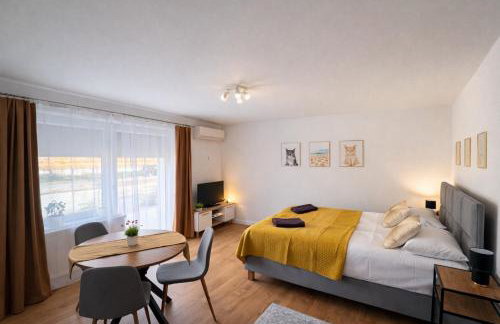 Apartamenty Nad Pilicą - Klimatyzacja - Sulejów - Foto 67