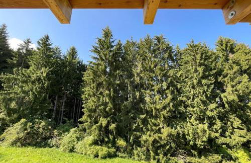 Apartments in Blockhaus im Wald - Foto 22