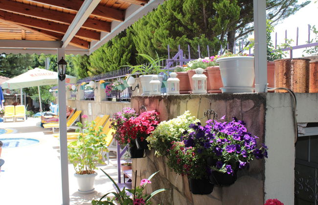 Victoria Princess Hotel - Foto 16