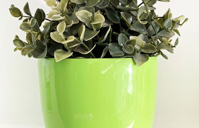 Rainbow Apartments - Foto 38