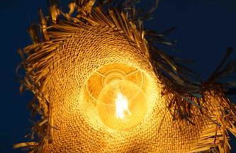 Tortuga blue house in banana plantation - Foto 12