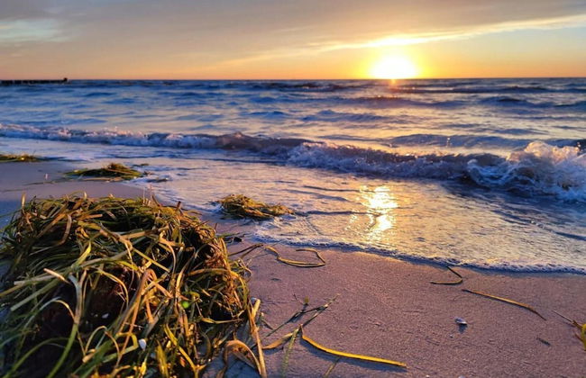 Appartements Post Hiddensee in Vitte - Foto 12