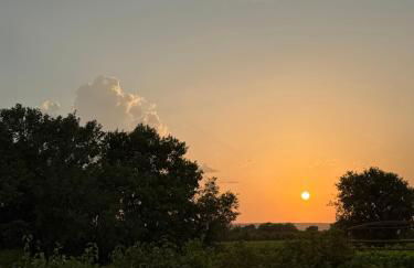 Les Coquettes - Foto 17