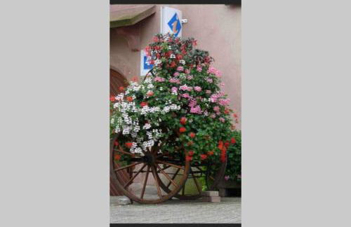 Coeur Alsace - Foto 27