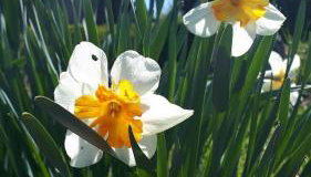 Kuća za odmor VB-IDRO - Foto 5