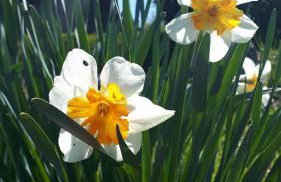 Kuća za odmor VB-IDRO - Foto 5