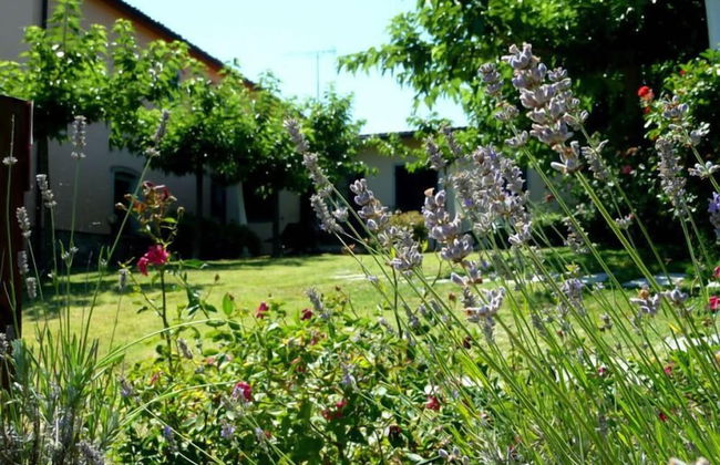 Agriturismo la Torricella - Foto 24