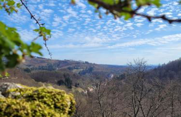 Haus Am Beckerberg im Harz - Foto 40