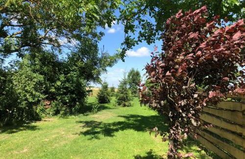 Appartement Alte Schmiede - Foto 10