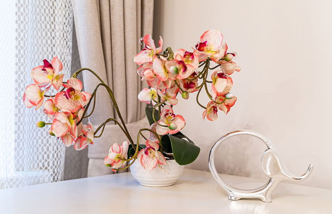 WINWINSTAY Art Nouveau Lumiere Residence - Foto 27