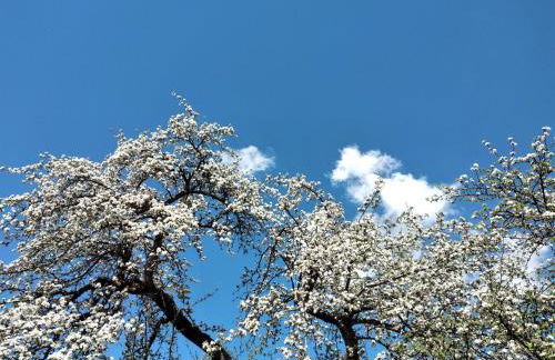 Haus Brigitte - Foto 22