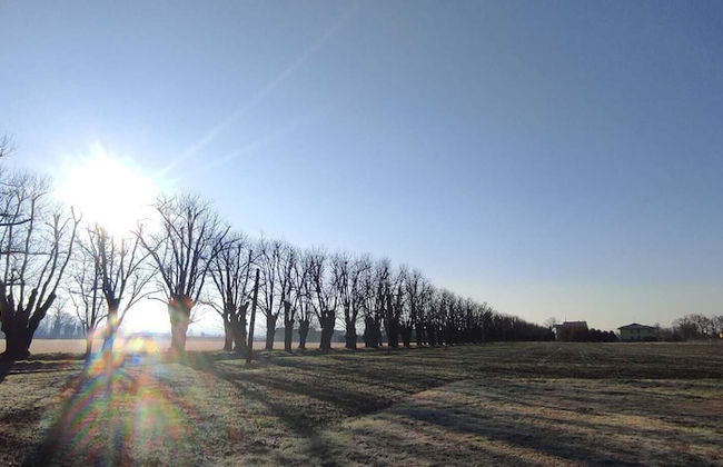AGRITURISMO LE CORTI DELLA GUALDANA - Foto 35