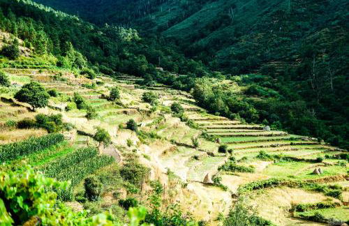 Casa Fidalgo - Foto 34