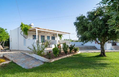 Aeolus pool apts - Photo 7