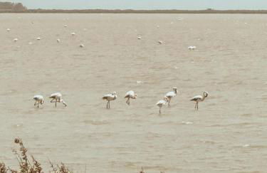 Surf-themed stone house at Kalliopi 2 - Foto 50