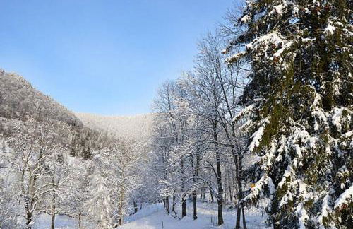 Haus Wiesengrund-Fahl, FeWo 6 - Foto 27