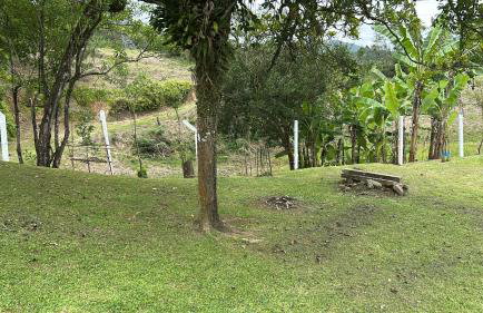 Morada do Campo - Foto 74