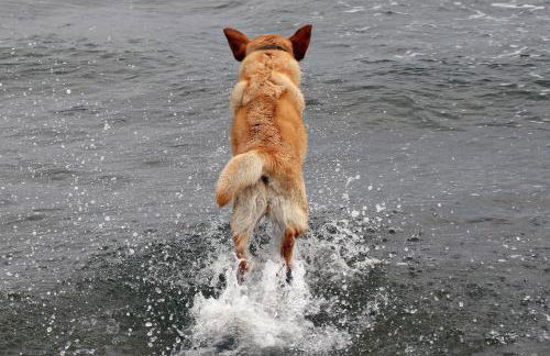 Agriturismo Il Gelso - Foto 94