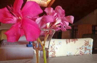 La Calletta - Foto 34