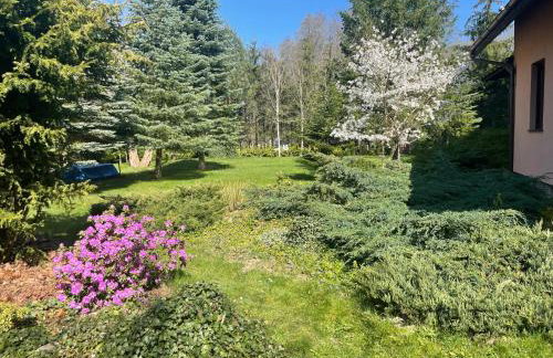 Dom Wakacyjny Myśliborka - Foto 8