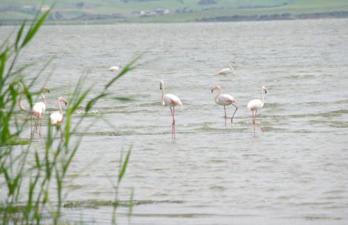 Casa Antonella sul Golf - Foto 23