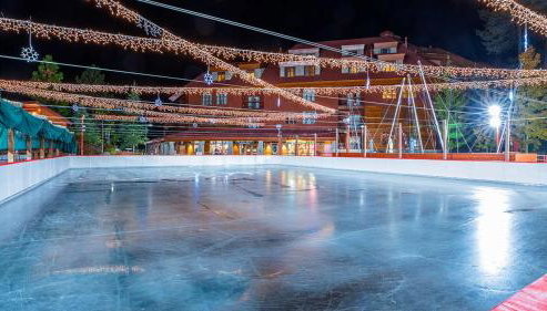 Marriott Timber Lodge Studio Apartment with Resort Access - Foto 3