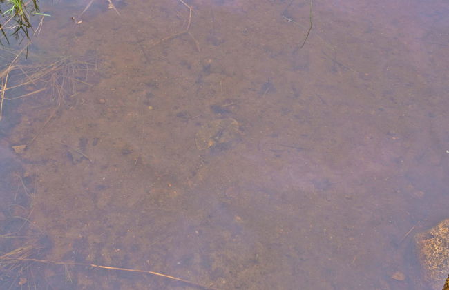 Mäntyrinne - Foto 5