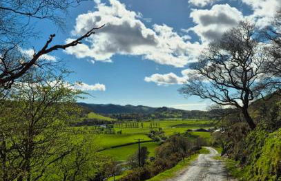 Peaceful Dyfi Valley Cottage - Hendre-gau - Photo 15