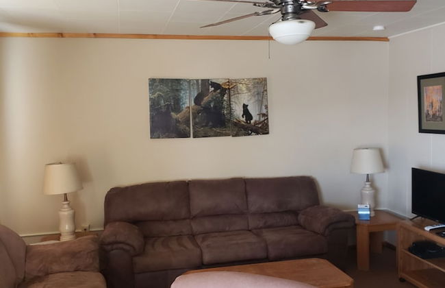 lazy bear cabins - Foto 37