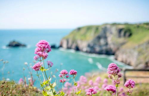 Caravan A10 at Landscove Holiday Park - Photo 13