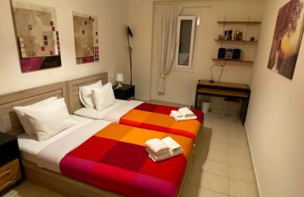 Patras Palm Tree - Foto 50