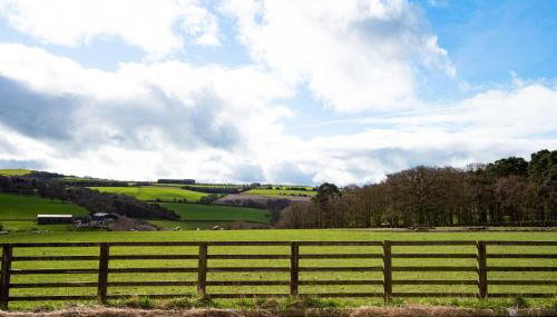 Number Nine - Foto 3