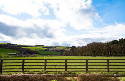 Number Nine - Foto 3