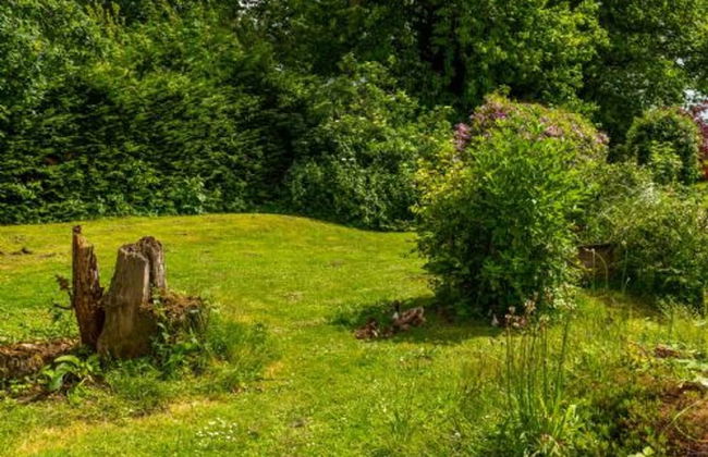 Host Stay The Orpington Garden Studio - Foto 28