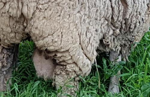 Casa da Ti Bia - Foto 22